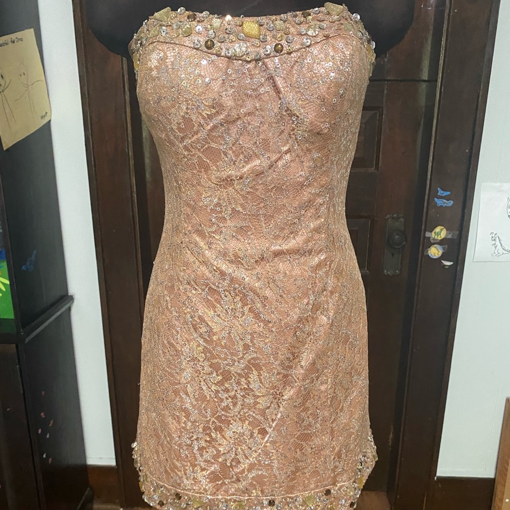 Nina Canacci Cocktail dress  Sz 12. NWOT